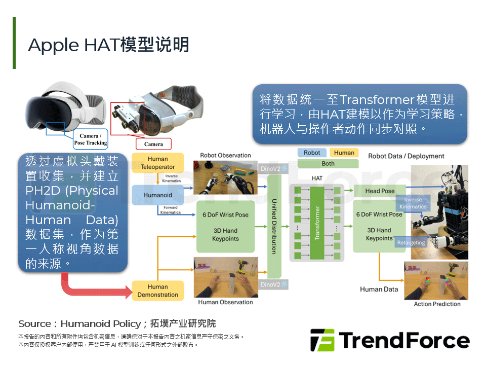 Apple HAT模型说明