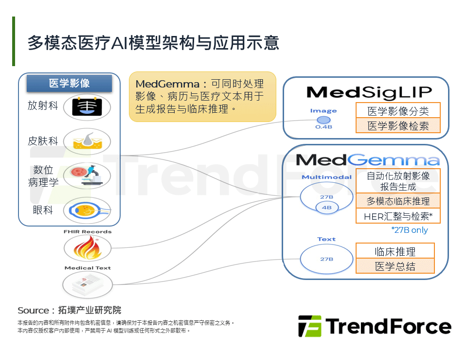 多模态医疗AI模型架构与应用示意
