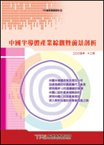 中国半导体产业综观暨前景剖析