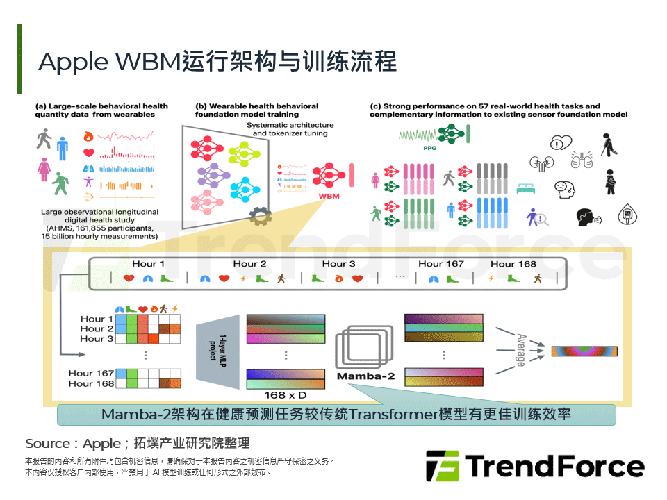 Apple WBM运行架构与训练流程